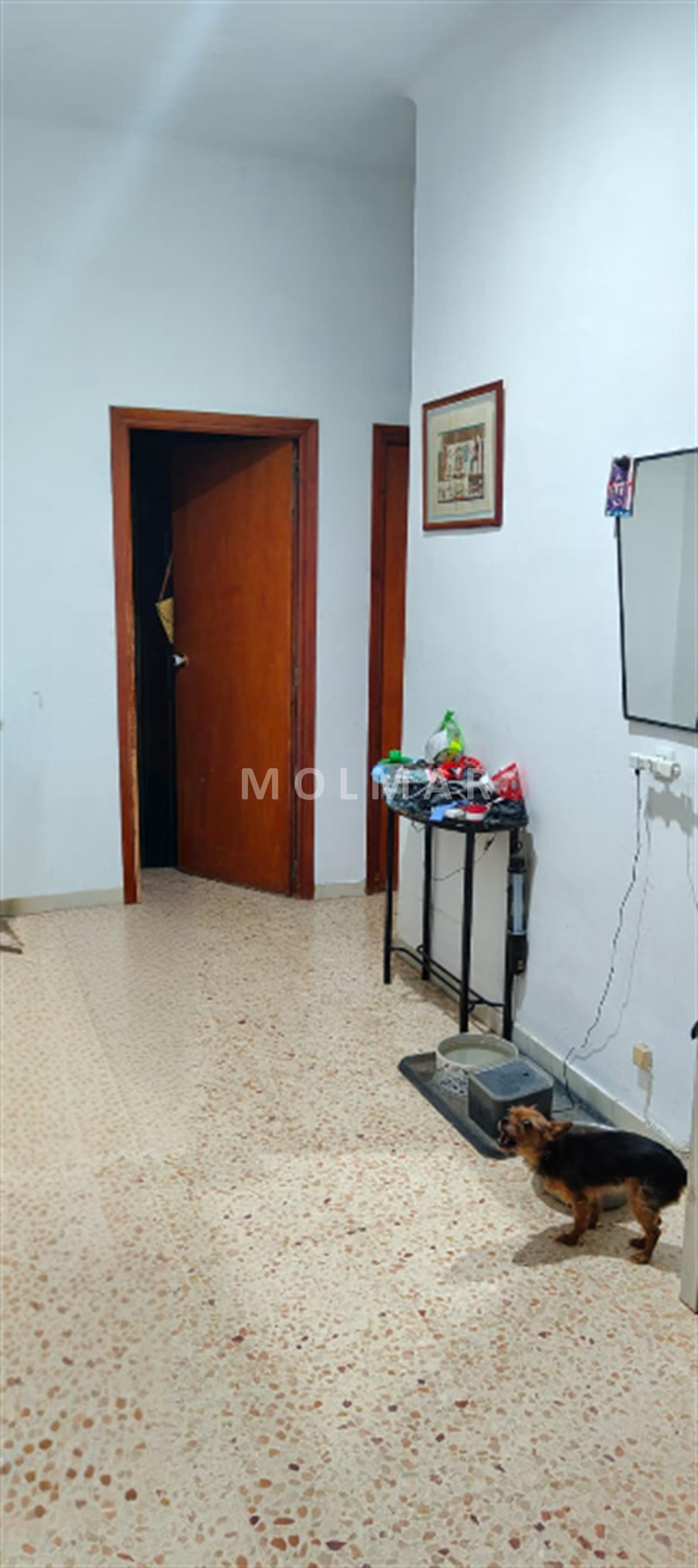 Foto 4 de Piso V13562